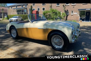 Austin Healey 100/4