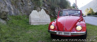 Volkswagen Brouk 1302 1971