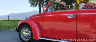 Volkswagen Brouk 1302 1971