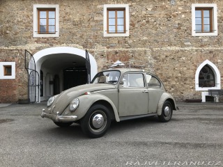 Volkswagen Brouk