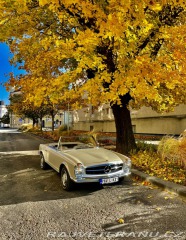 Mercedes-Benz SL W113 Sl 230
