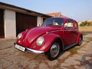 Volkswagen Brouk 11