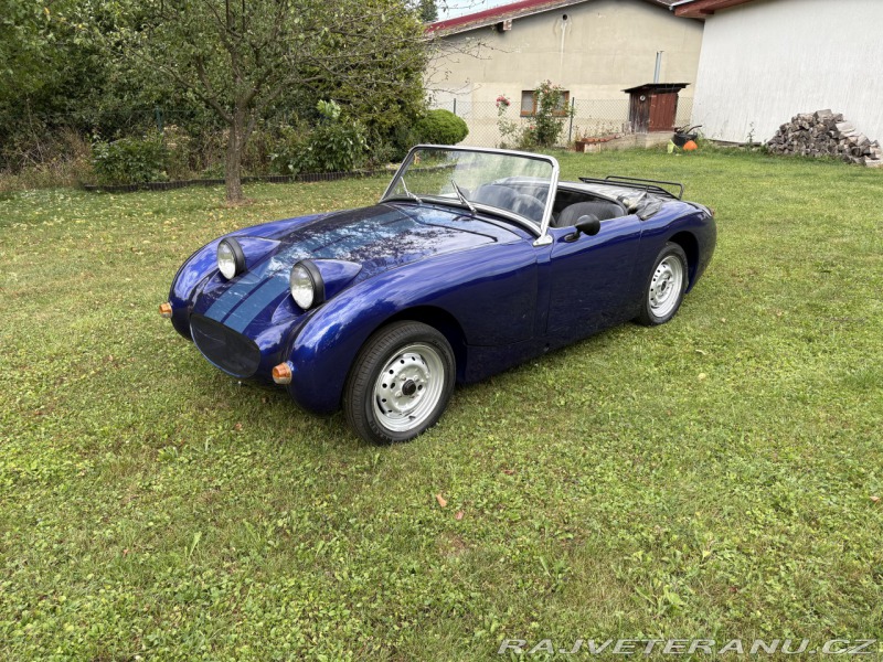 Austin Healey Mk1 žabák