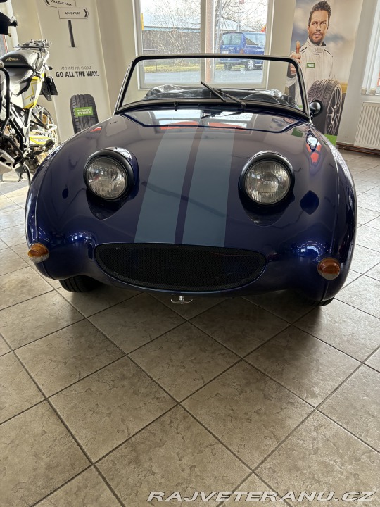 Austin Healey Mk1 žabák 1959
