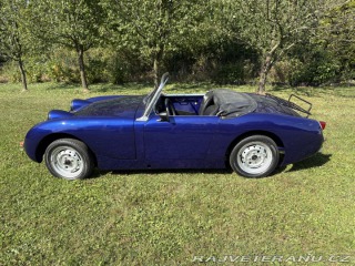 Austin Healey Mk1 žabák 1959