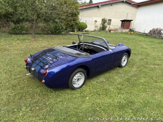 Austin Healey Mk1 žabák 1959