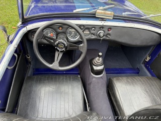 Austin Healey Mk1 žabák 1959