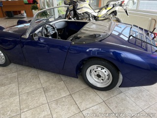Austin Healey Mk1 žabák 1959
