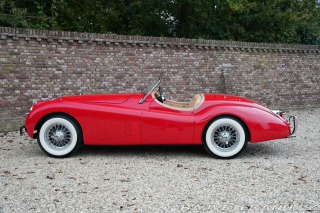 Jaguar XK 120 Roadster