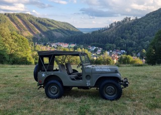 Jeep Willys M38a1