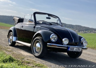 Volkswagen Brouk 1303 1976
