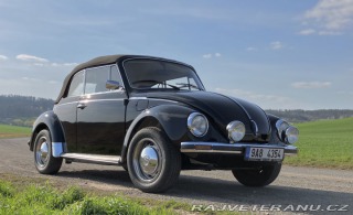 Volkswagen Brouk 1303 1976