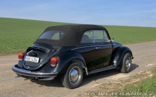 Volkswagen Brouk 1303 1976