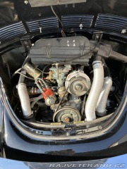 Volkswagen Brouk 1303 1976