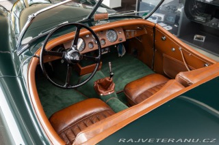 Jaguar XK 120 Roadster 1951