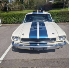 Ford Mustang Fastback GT350 A
