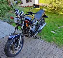 Yamaha YX600 Radián