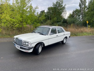 Mercedes-Benz 230 W123