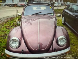 Volkswagen Brouk Brouk